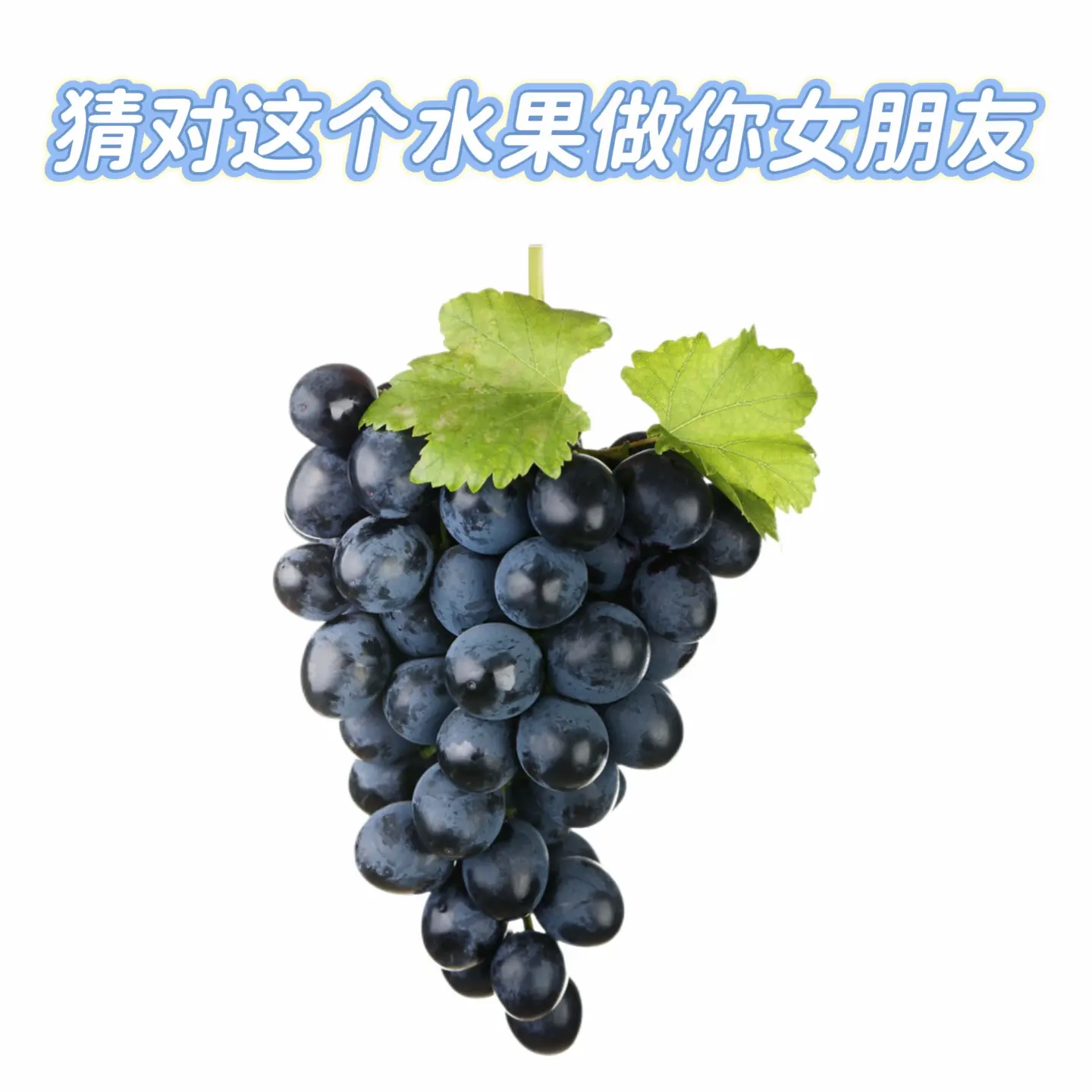 是葡萄！葡萄
