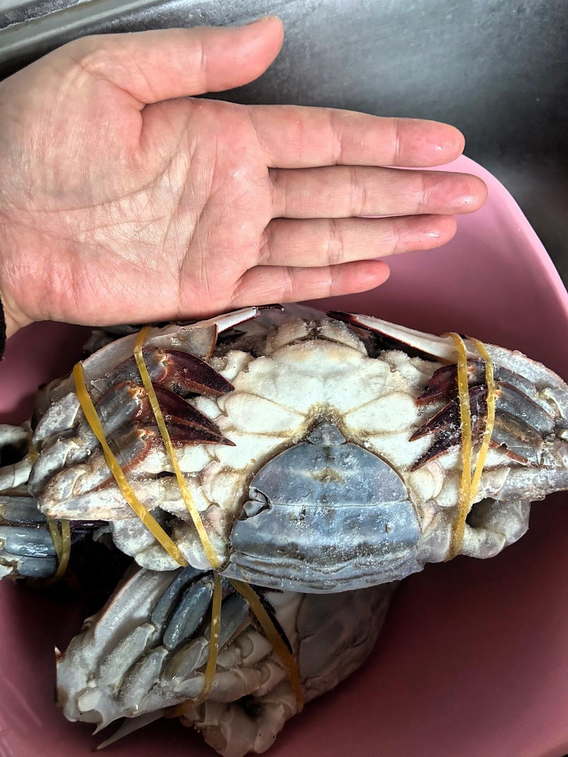 我家那位最近迷上网购生鲜，今天又抱回一箱梭子蟹，系着围裙在厨房刷洗的样子，竟让我