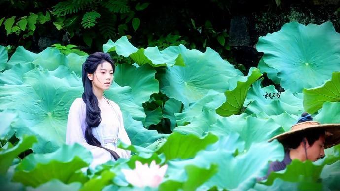 一念江南完全江南宣传片一念江南实景拍摄好美放弃棚拍实景录制，一念江南宛如江南宣传