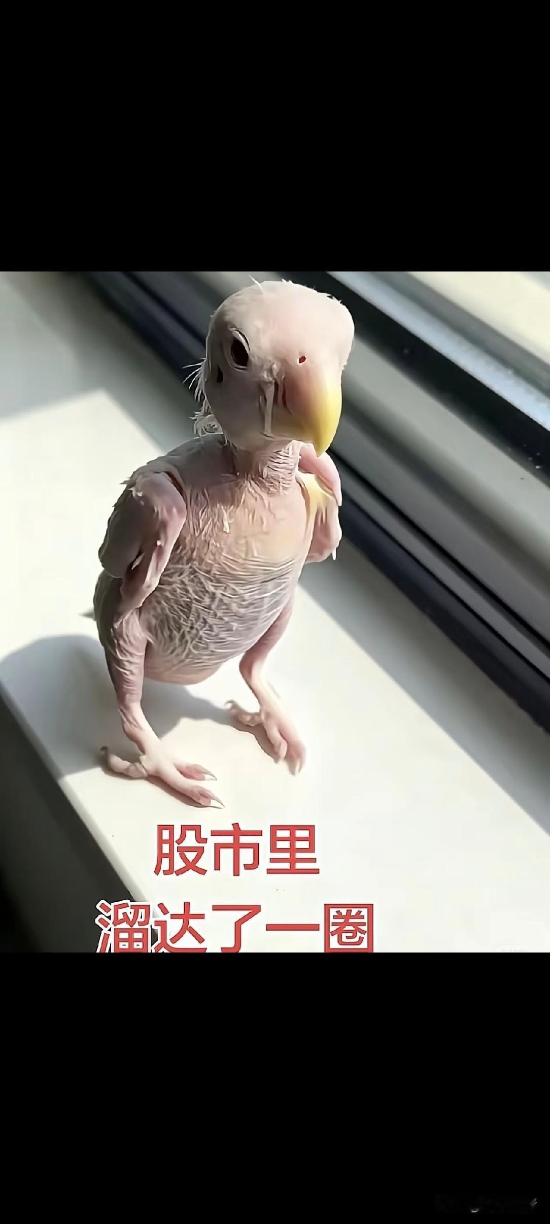 今天的A股属实把散户的心态玩弄明白了，上午盘面一片死气沉沉，账户绿油油刺眼扎眼，