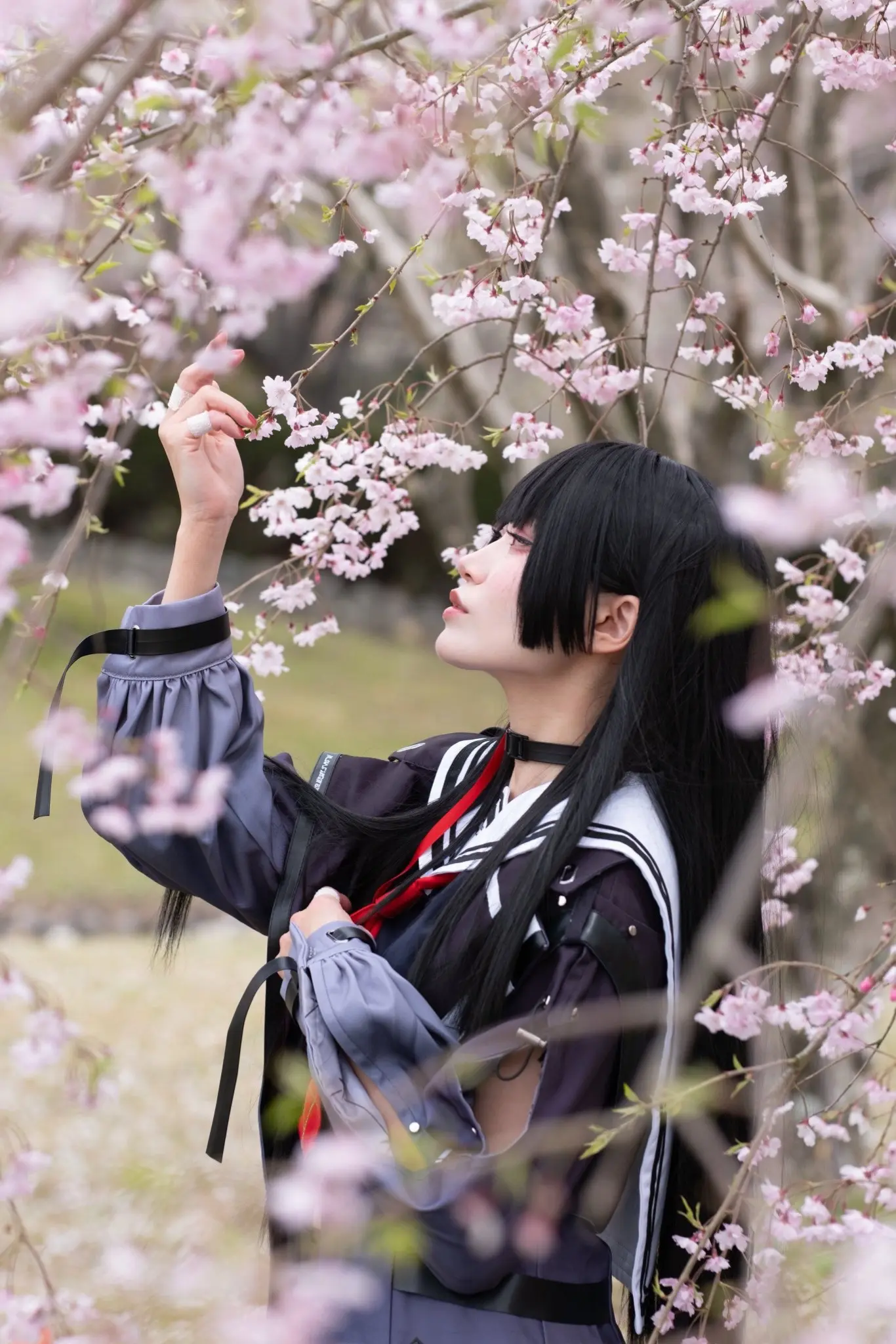 樱花季jk 初樱社jk jk与樱花 日系樱花风 水手服樱花