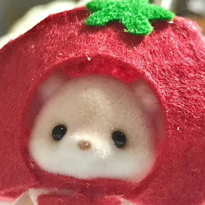 可爱头像更新噜՞•･•՞ 🐾  ​​​