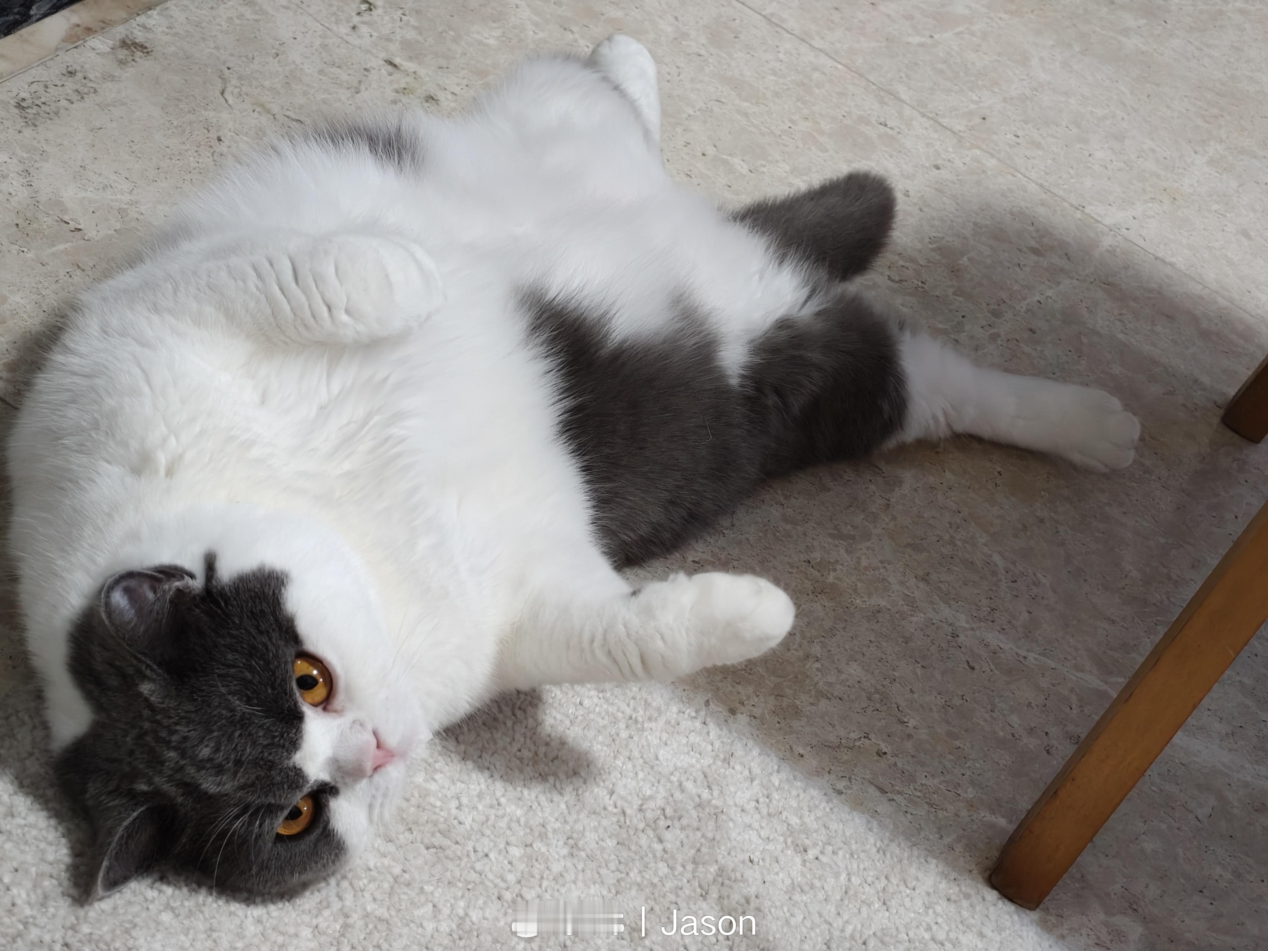 随地大小躺的 Good。 