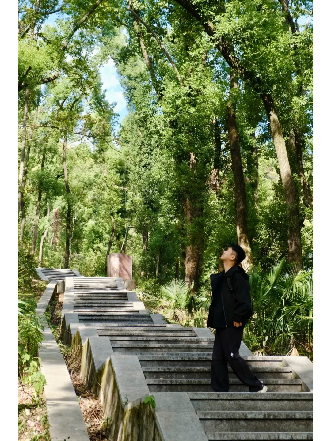 后悔才来❗️武汉市区被严重低估的徒步路线🍃