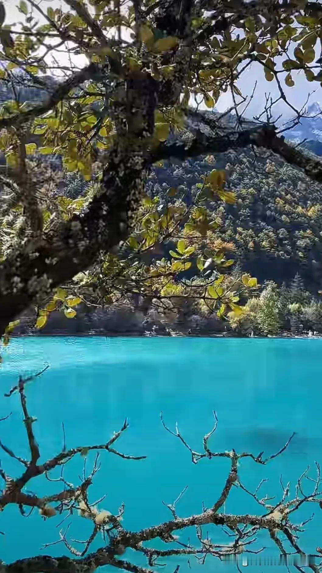 惊艳的蓝宝石湖，大自然的美妙杰作！隐藏身边的美景 季节的美景 树尖上的风景 美景