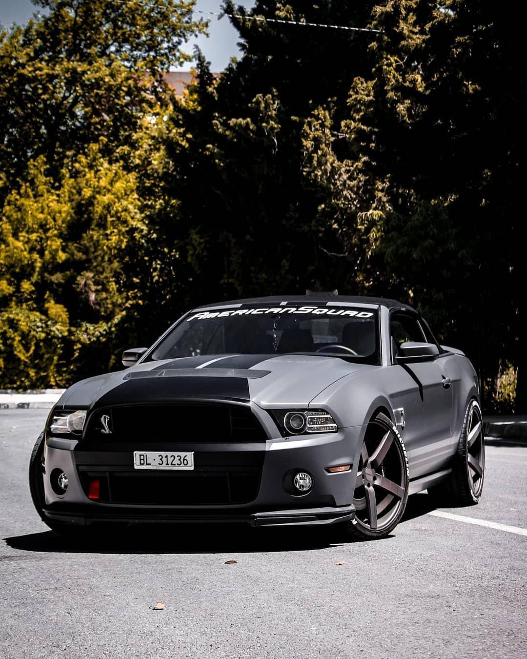 福特Mustang Shelby GT500[赞] ​​​