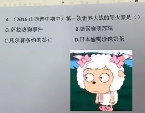 一战的导火索是什么？
  这谁胡编的题，历史老师大概已经气晕在厕所了