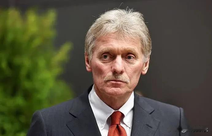 克里姆林宫：不使用核武器，俄罗斯也能取得特别军事行动的成功

俄罗斯总统的新闻秘