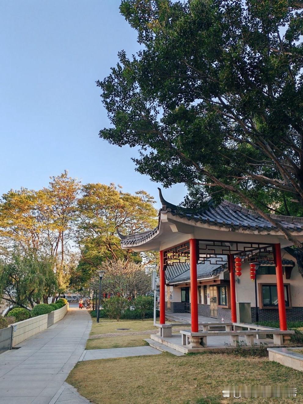 春日慢跑｜深井公园的松弛感路线

谁说跑步只能枯燥？🌿这个藏在市中心的绿野秘境
