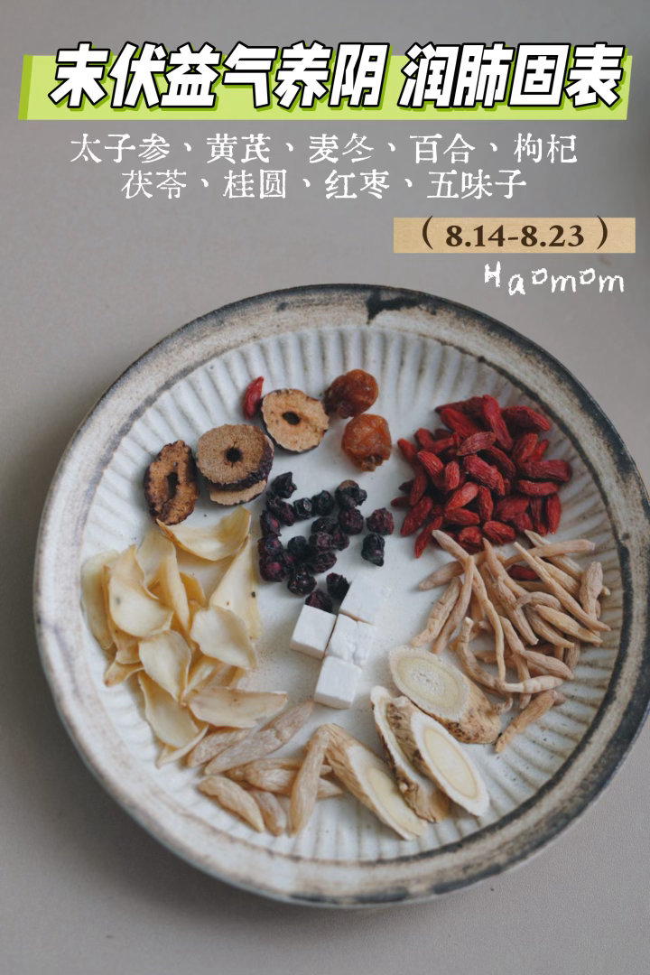 初伏5包，中伏8包，末伏5包，合计18包成人三伏天调养汤 初伏（7.15-7.2