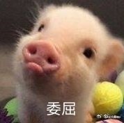 疫情都过去这么久了，怎么电影还是那么多极限定档的？我的鱼什么时候来啊？不要极限定