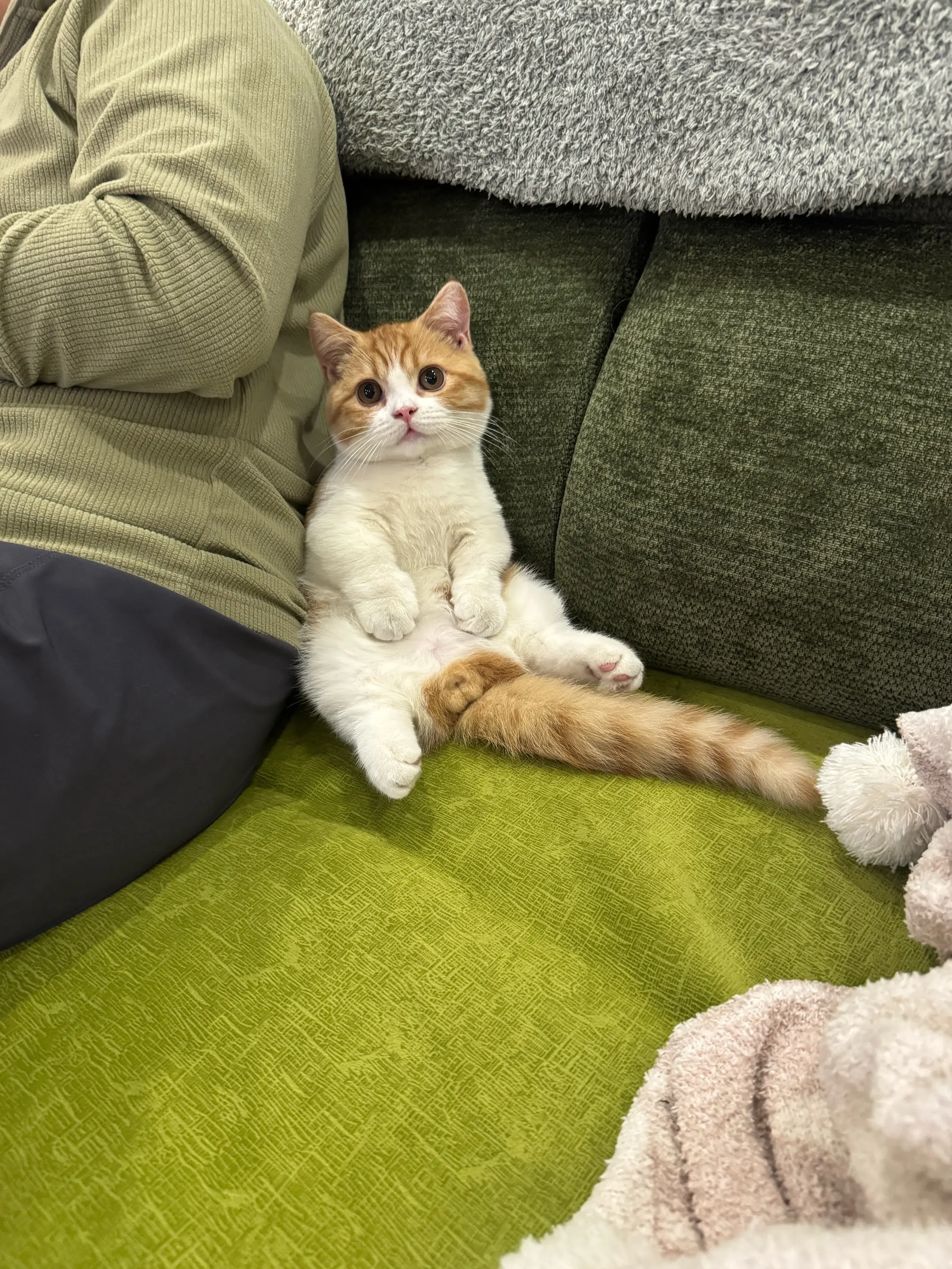 往那一坐，像个小老子！