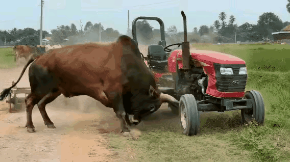 牛脾气上来了，还怕铁牛不成！