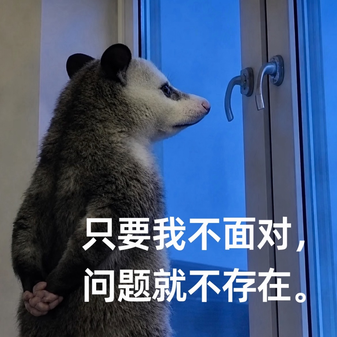 全世界最不吃压力之人——冷暴力全体巴粉的嘉行迪丽热巴工作室 