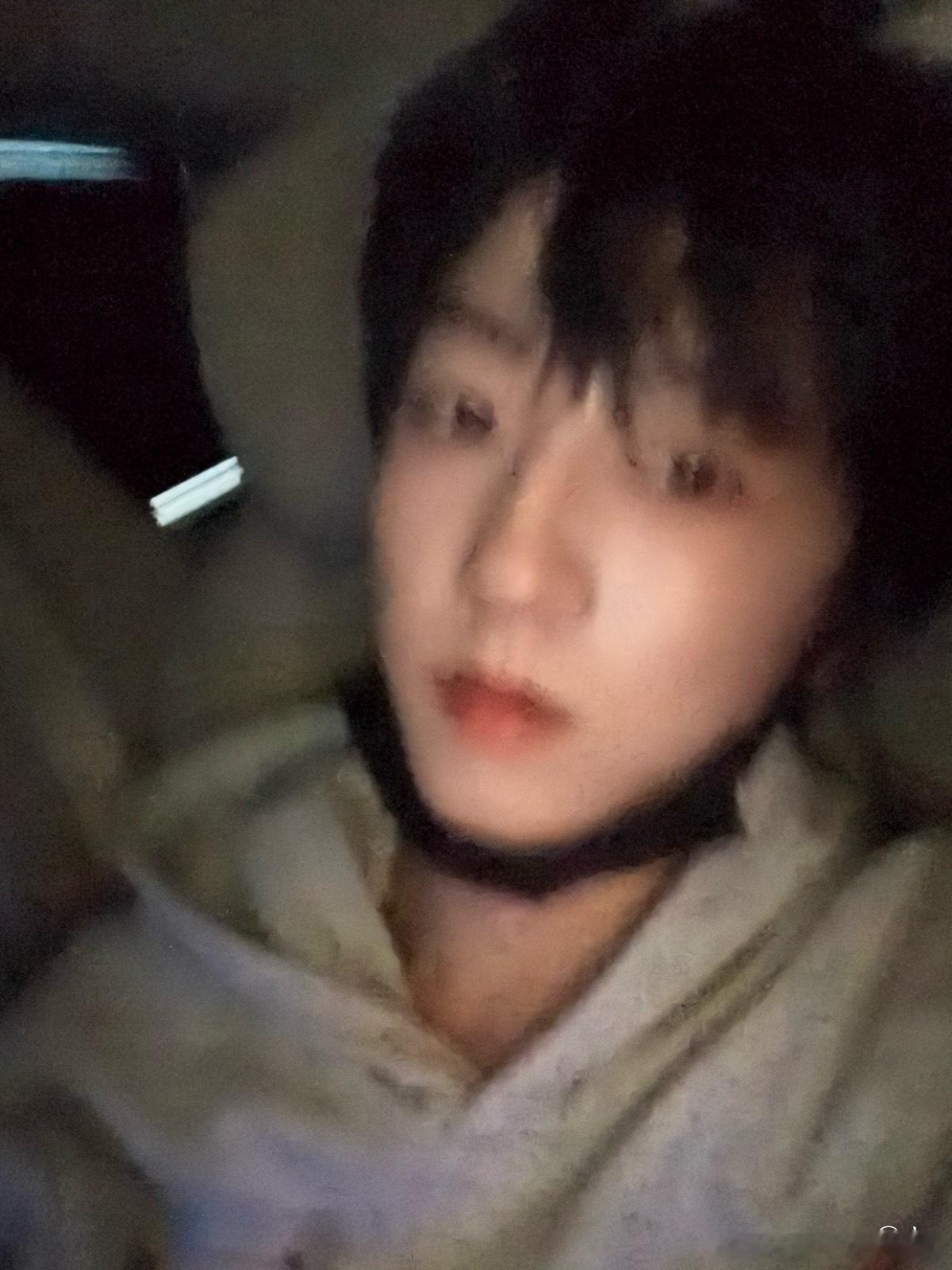 tg  杨博文高会更新 