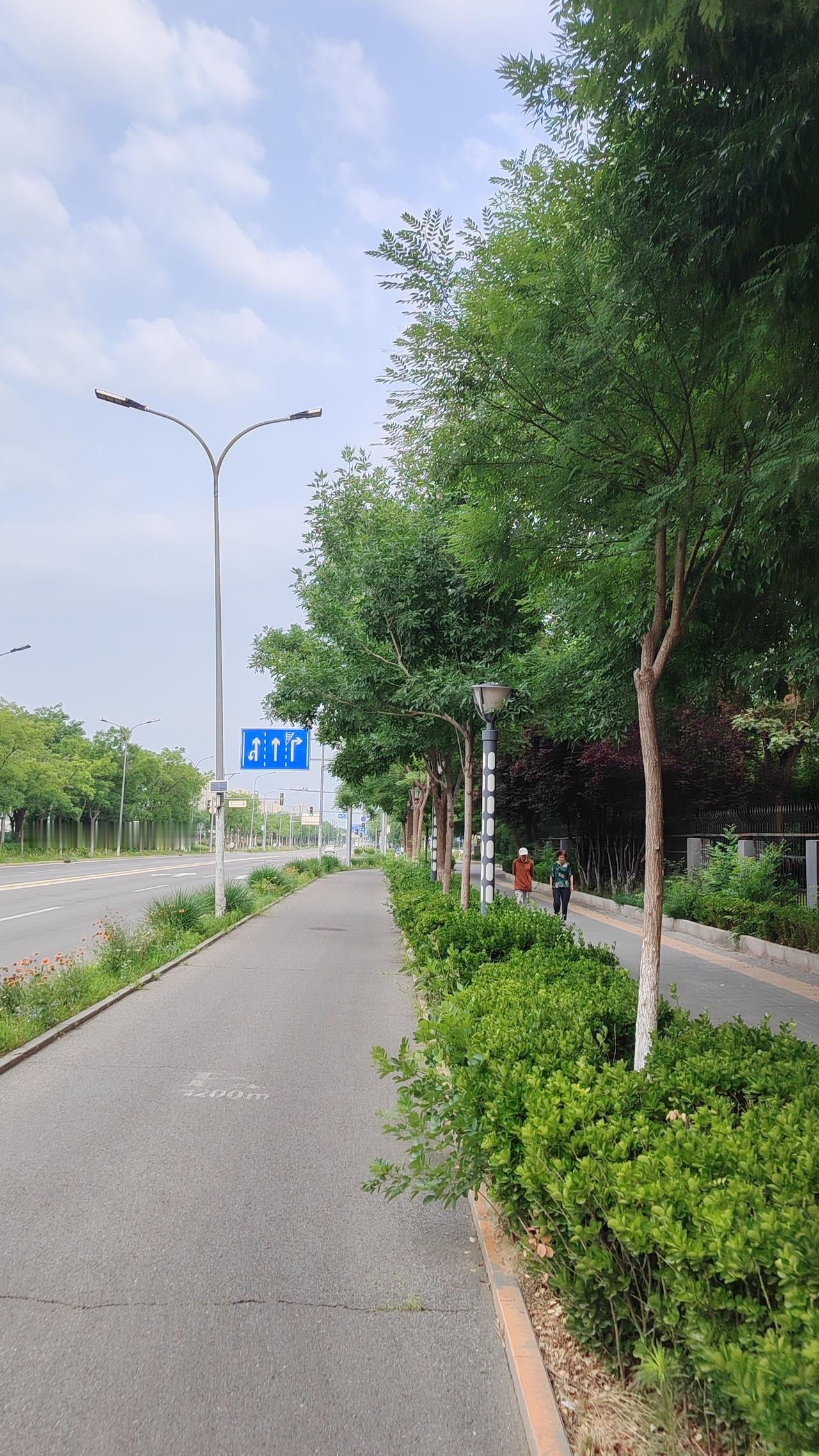 记录我的2026岁月静好珍惜当下