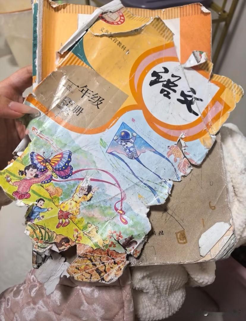 什么时候放寒假呀？孩子的语文书快扛不住了！