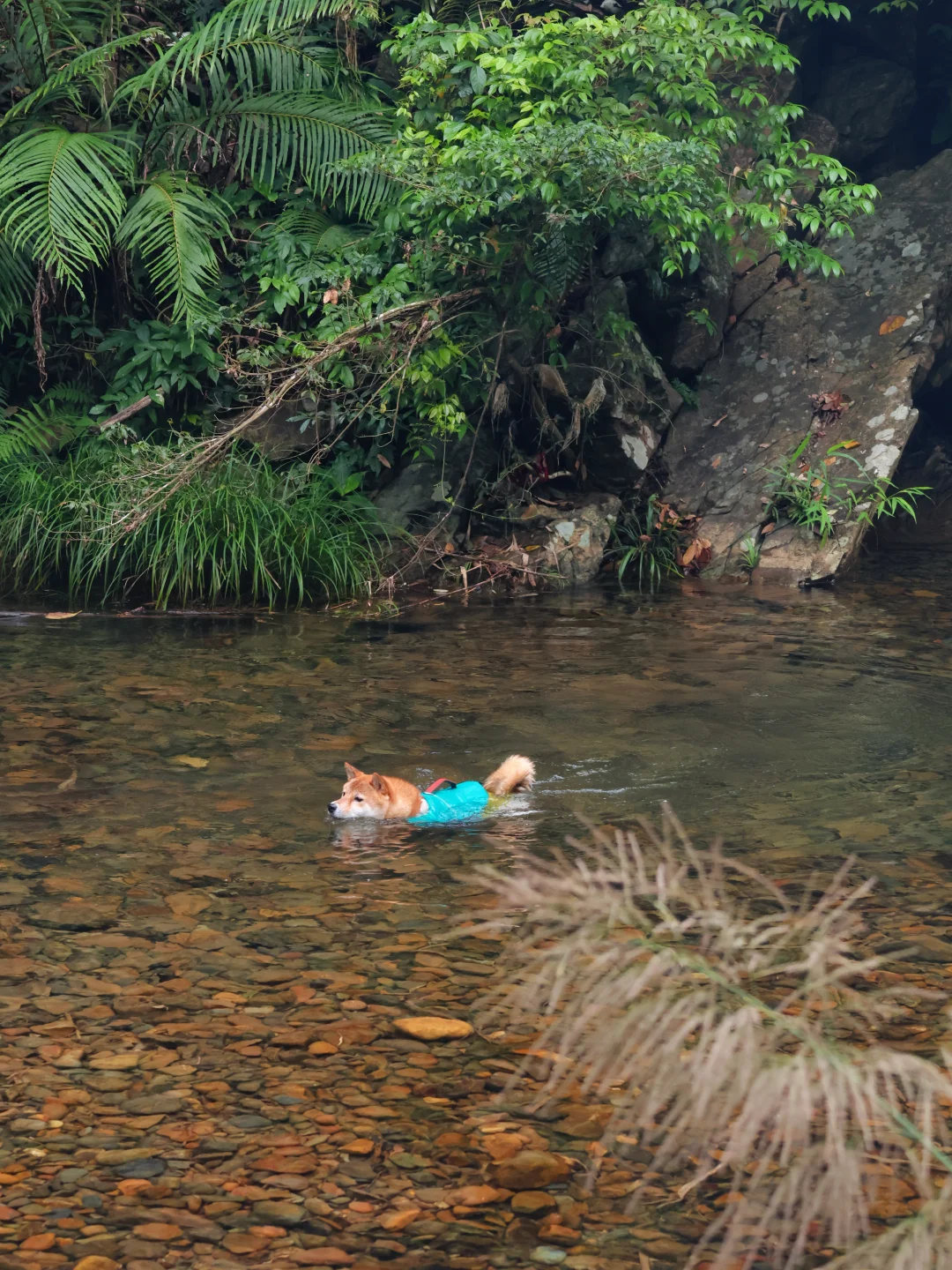 清明第三站 你你你你要玩水吗？