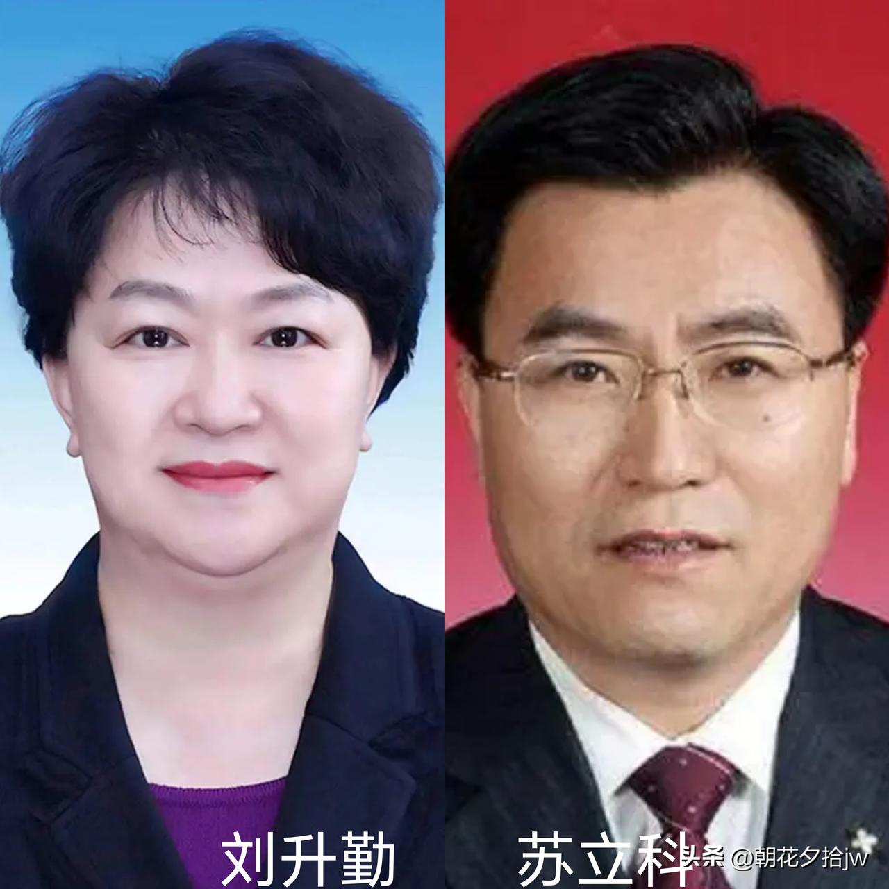 二人同框有故事！

①经历相同。

都是潍坊人，60年代出生。
曾为同事，苏一直