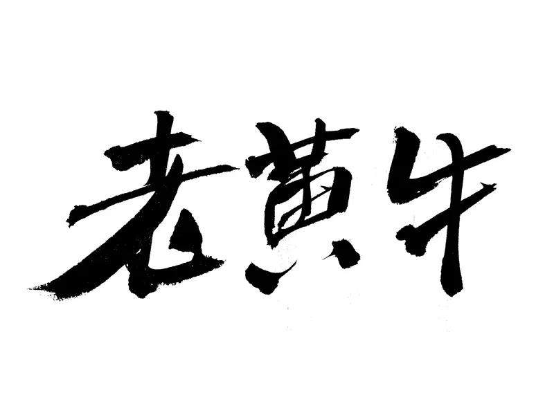 【让更多“老黄牛”被看见、被珍视、被重用；真正的“老黄牛”，是既有“俯首实干”的