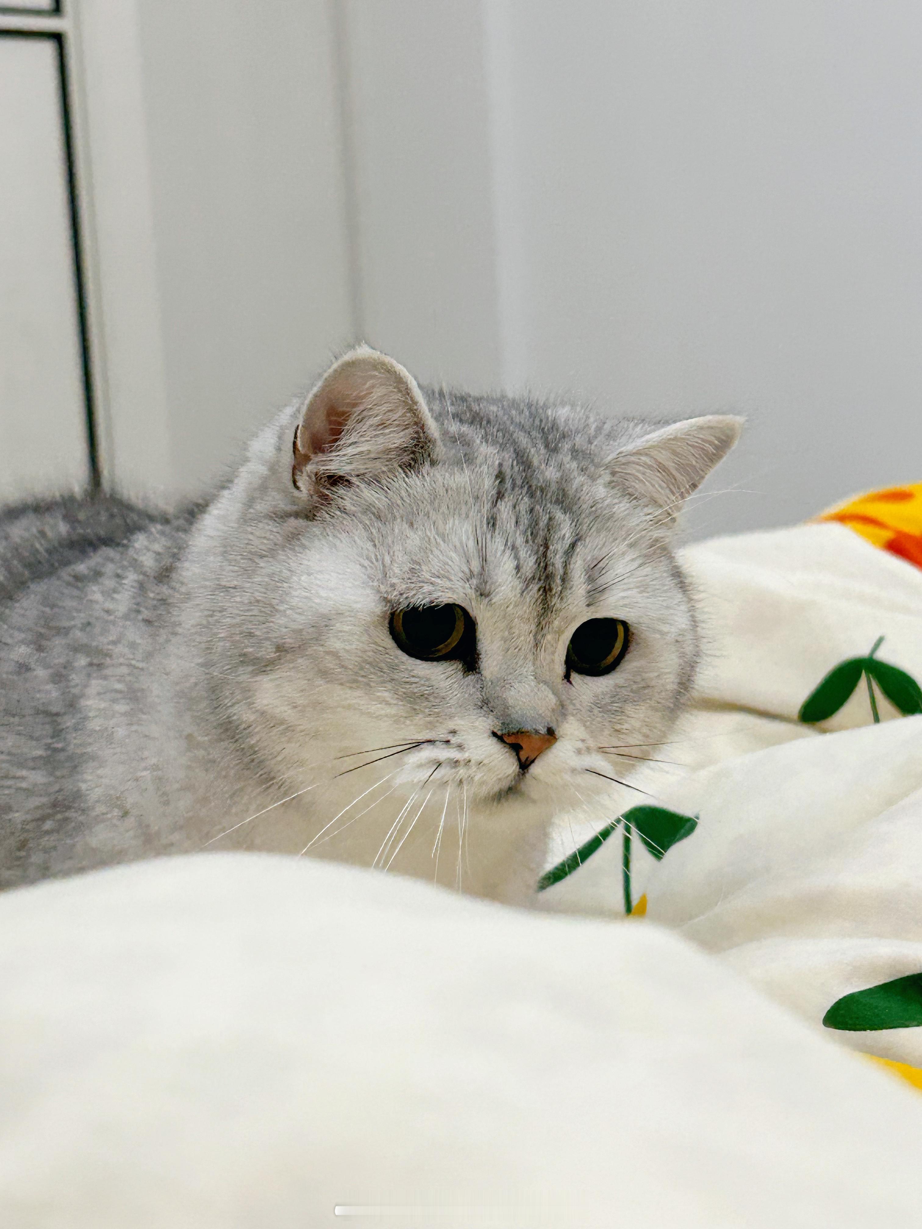 耗耗电准备睡觉[污] 