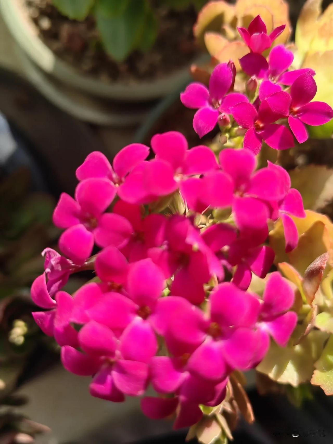 值得深度琢磨的，从来不是鸡毛蒜皮的琐事。比如：我每天忙忙叨叨，到底是为了啥？别人