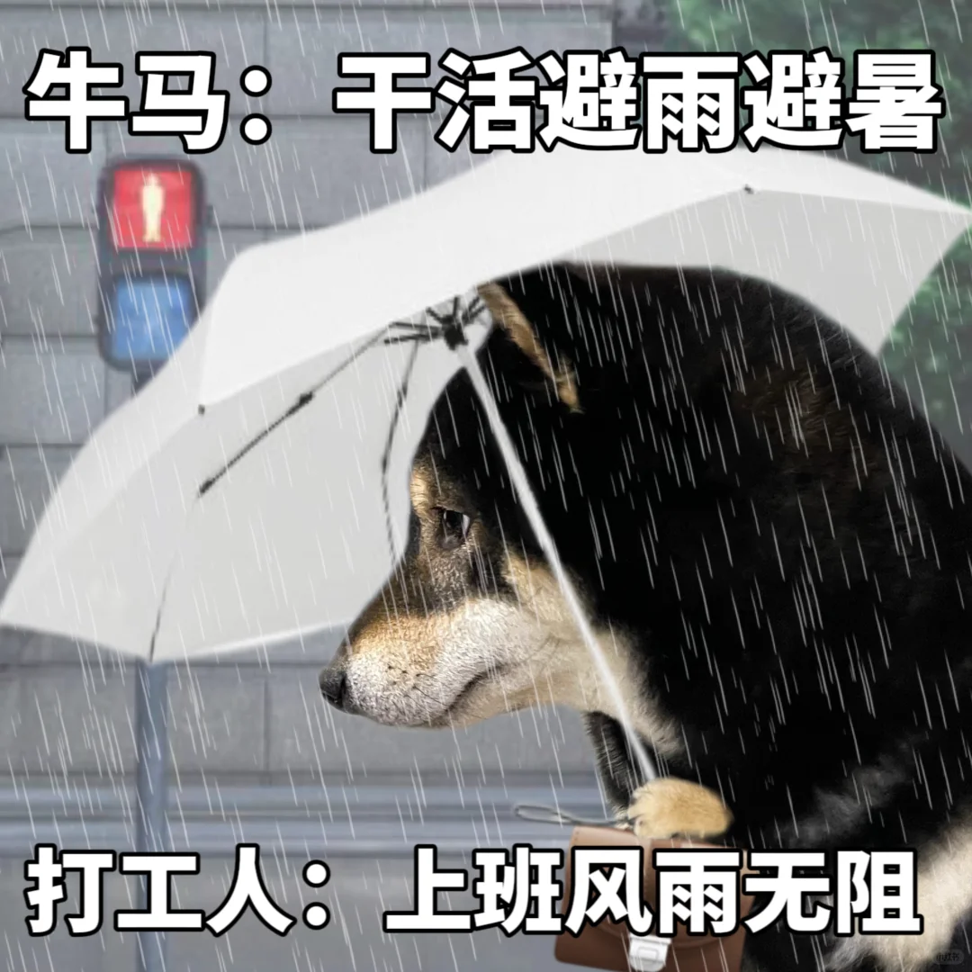 人在工位心力交瘁🥹