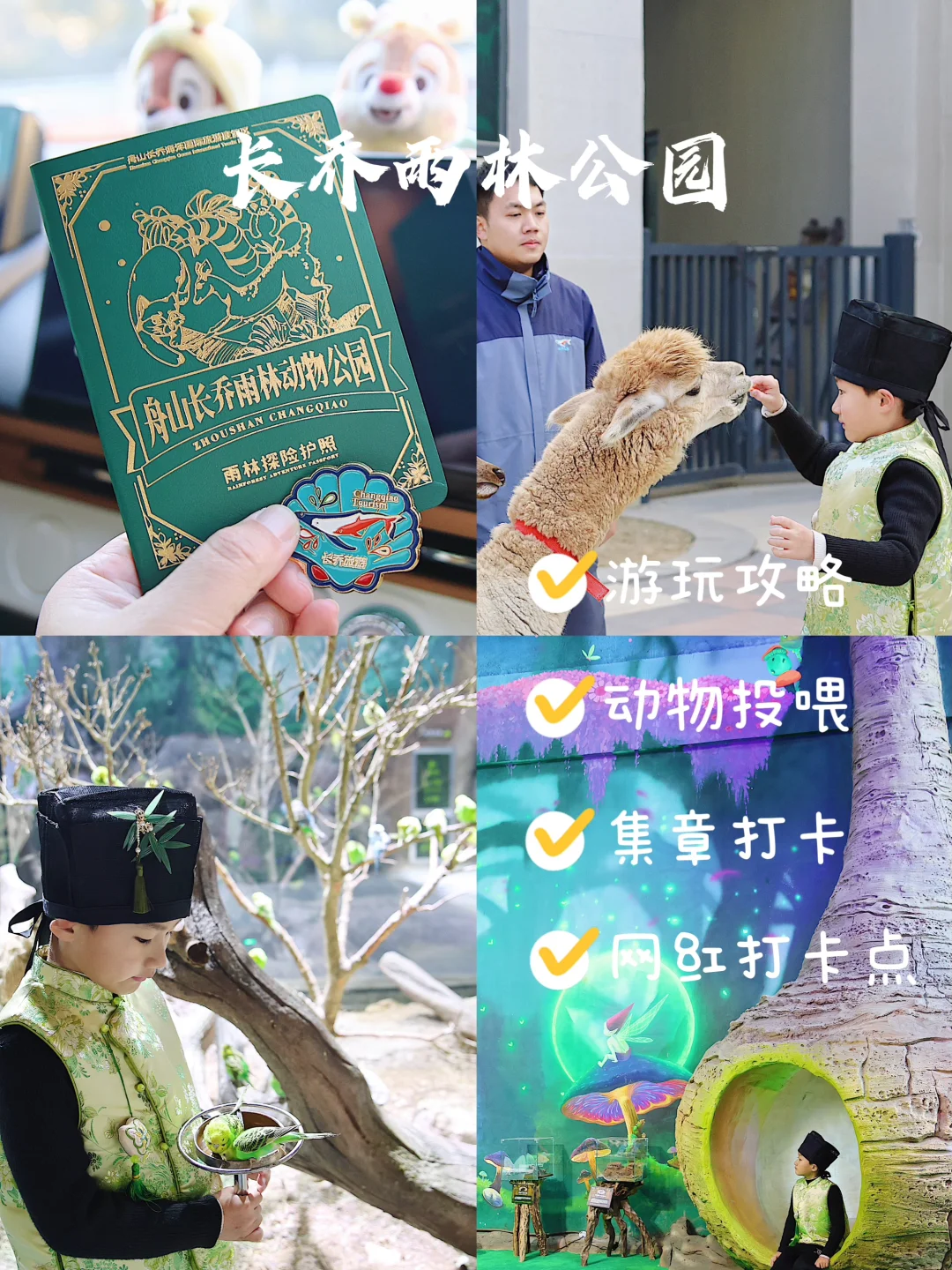 舟山旅行 | 长乔雨林动物公园详细攻略，码住