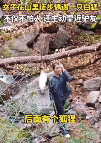 “不可思议!” 青岛崂山，一名女子徒步累了，准备休息一下，同伴却突然提醒她：“你
