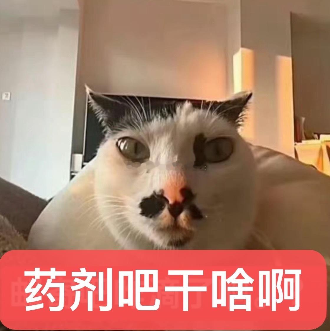 我的头好疼 好想躲到女人脖颈里哭一下 