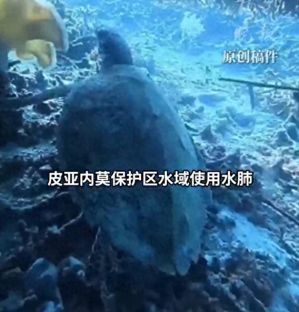 惹上事了！9月15日报道，一名36岁的中国男子在印尼机场被拦截，原因就是有原住民