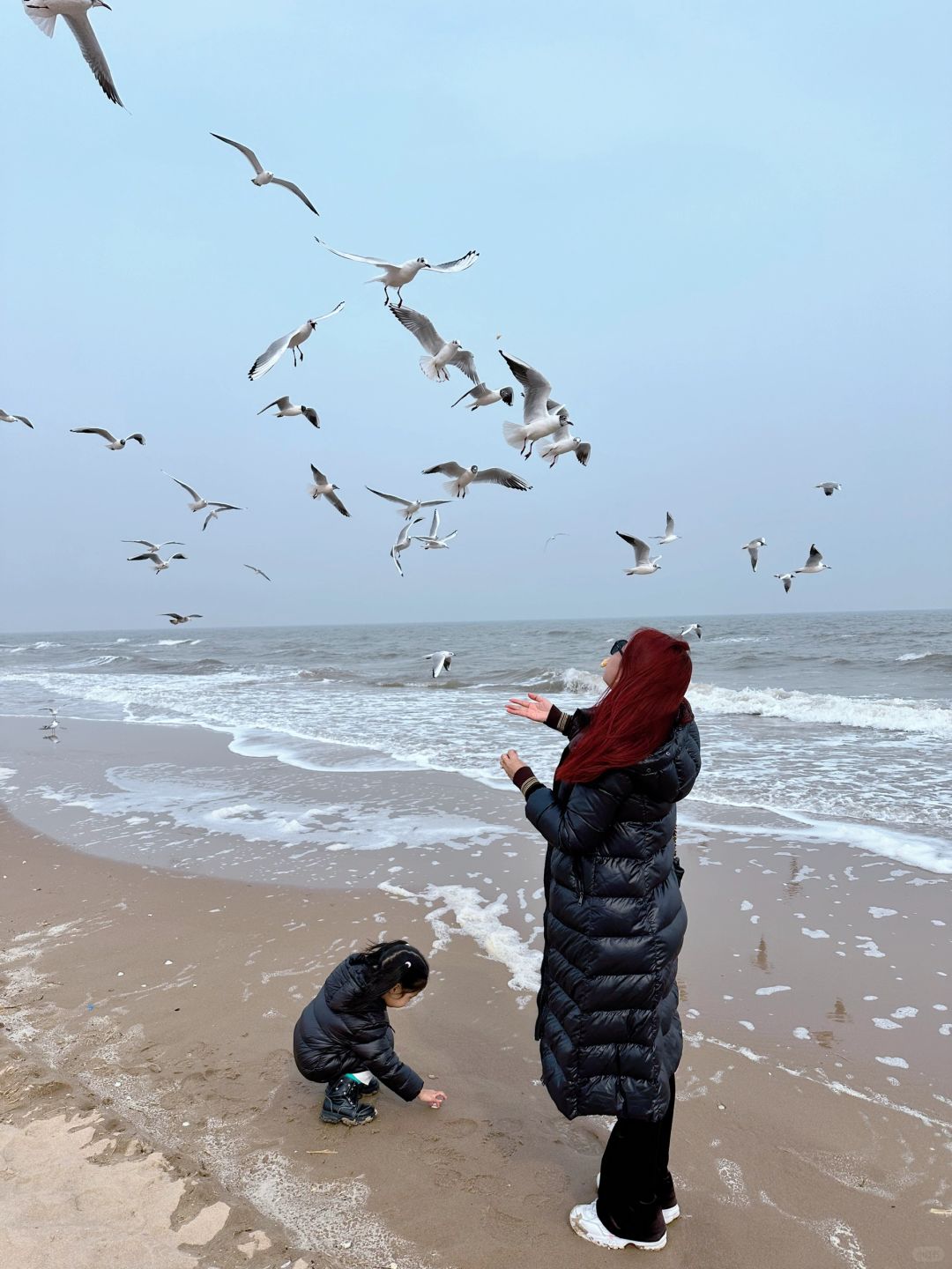 现在不来阿那亚，你糊涂啊...