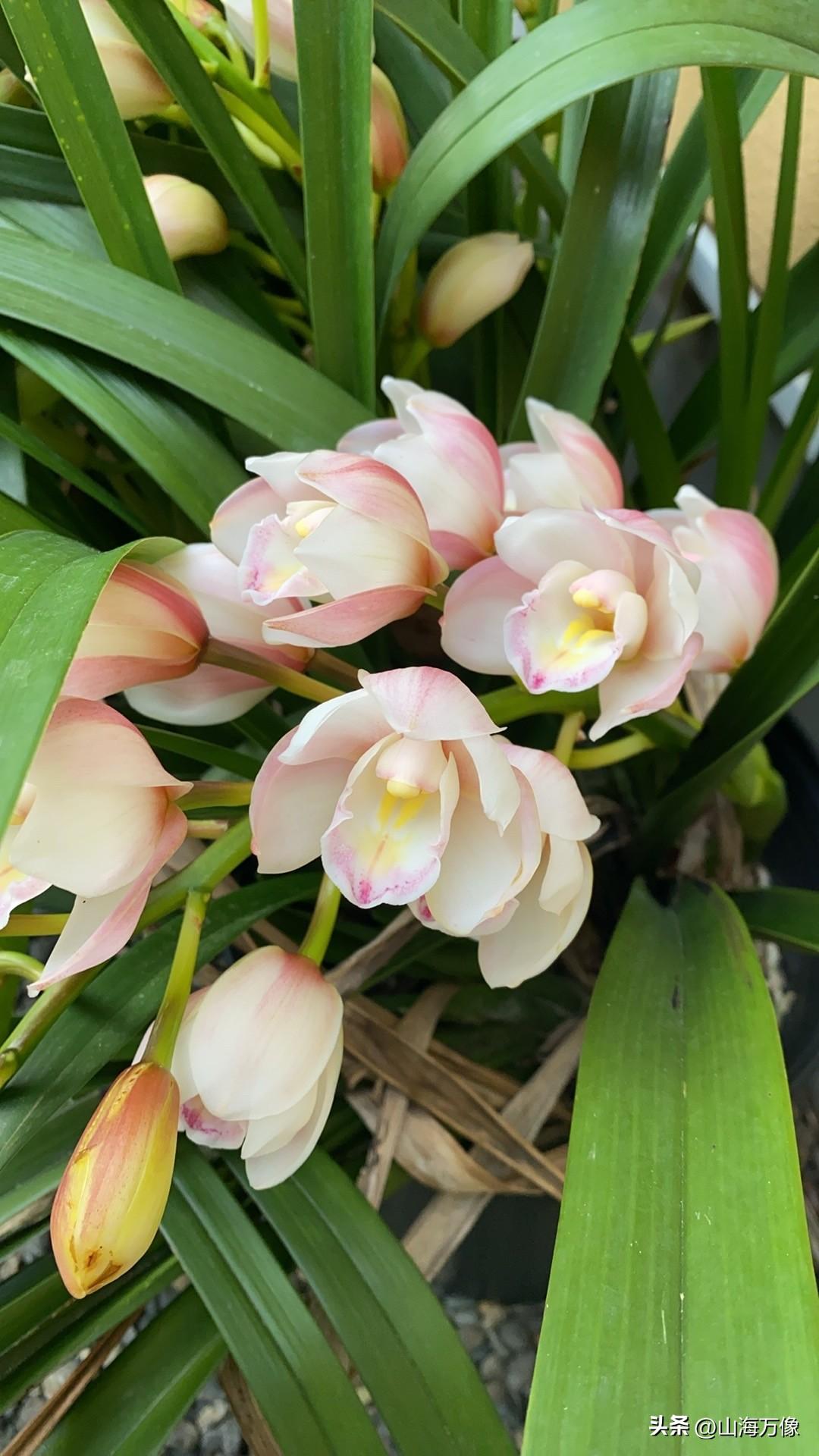 声明一下：首先感谢大家的支持和
头条平台的提携，这些年来一直
在头条平台上感受到