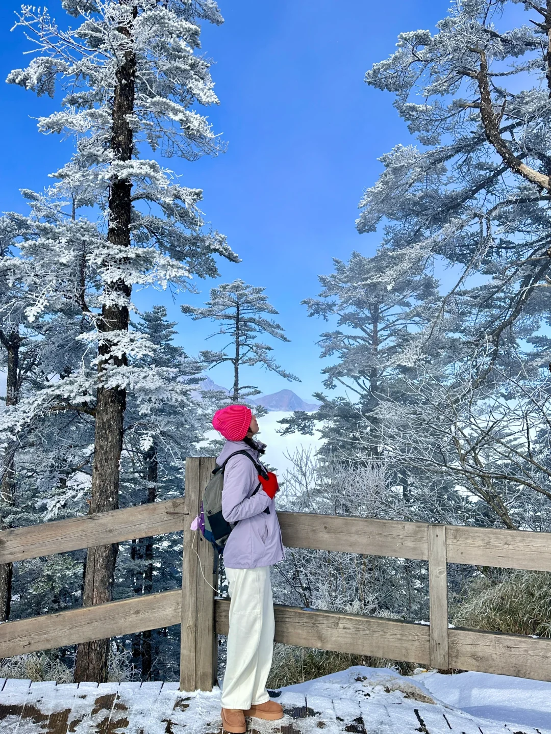 西岭雪山的雪景！！已经next level了……