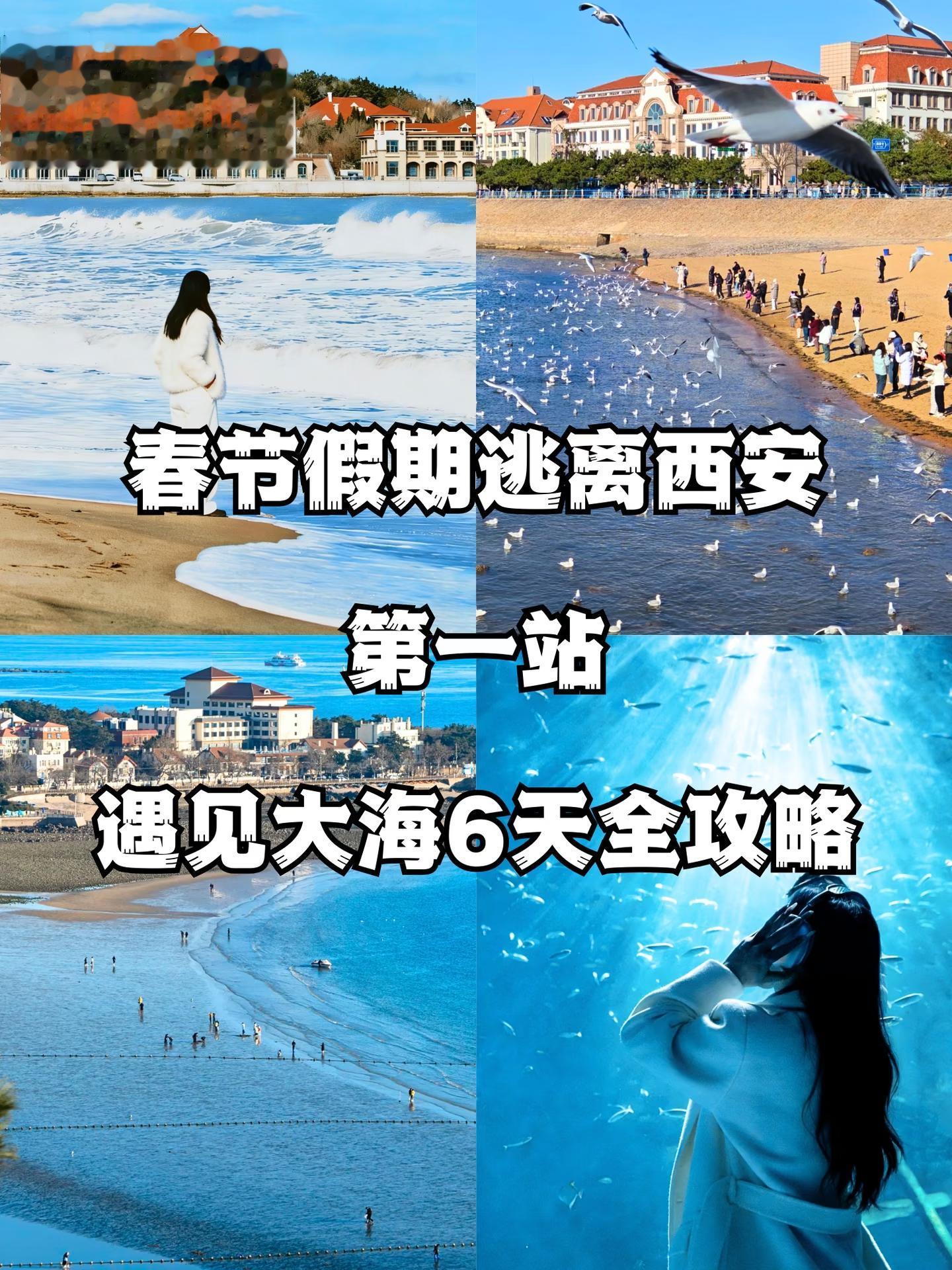 西安出发6日看海❗日照+青岛+威海+烟台。如果已经厌倦了千篇一律的春节...
