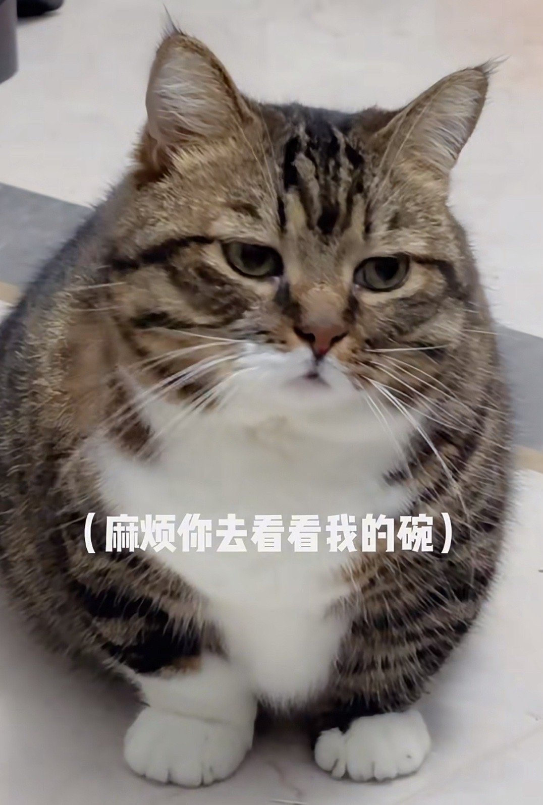 #日常的路人a# 人爱和不爱真的很明显。A跟朋友玩游戏，里边四个男主，朋友外形喜