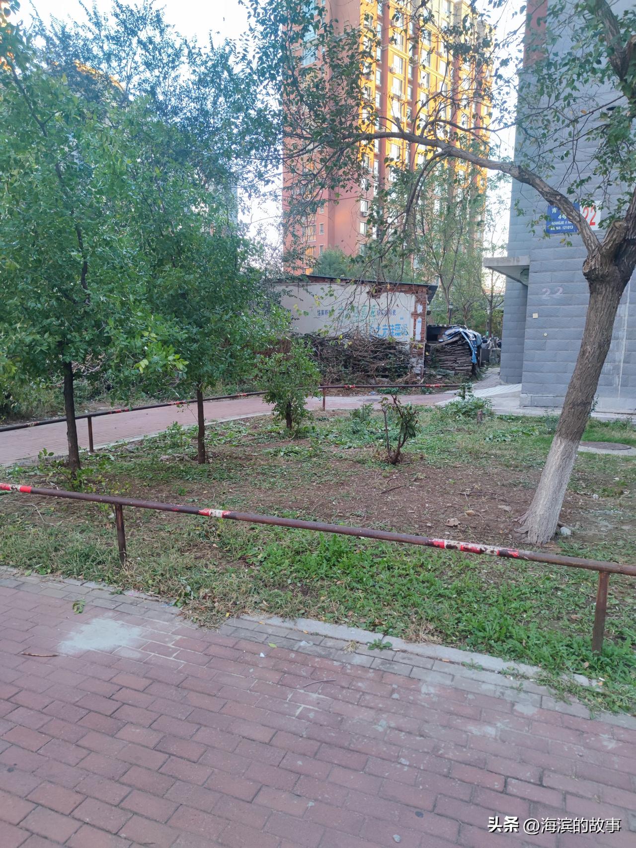 每天路过这里心里都挺有感触的，当年我一个同事条件一般想买个学区房，选到最后选到这