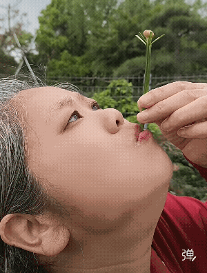 麦杆 +小豌豆，谁教你的，我70后小时候玩的啊![捂脸]