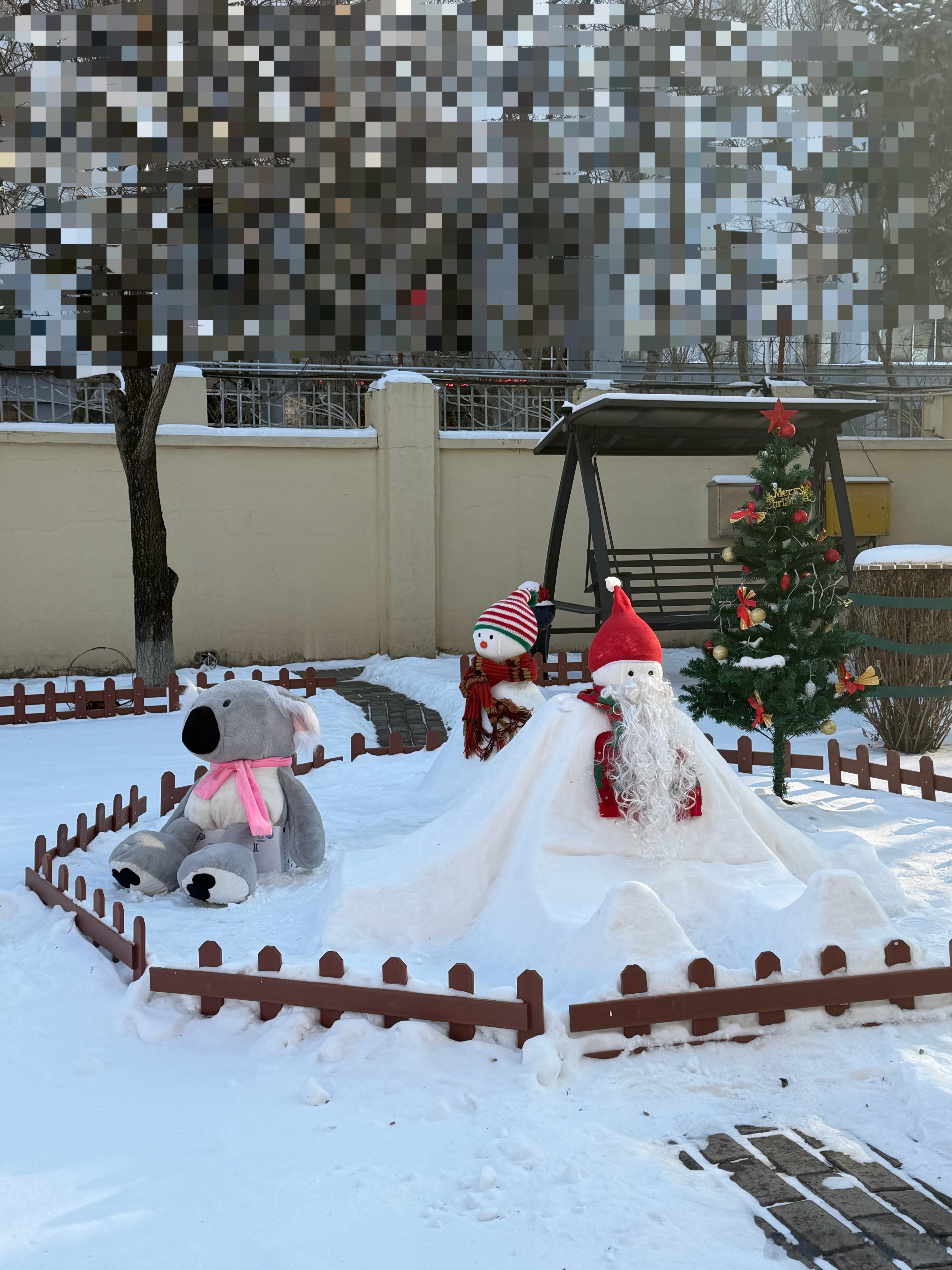 出去吃了个饭、家里多了个考拉。说我爸本来上文具店买锥子，结果回来把它抱回来了。小