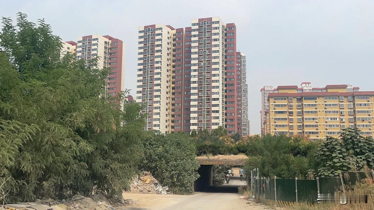 【鹧鸪天•沃土丰田五谷留】
沃土丰田五谷留，秋风秋色到深秋。
红枫灿烂迷银杏，嫩