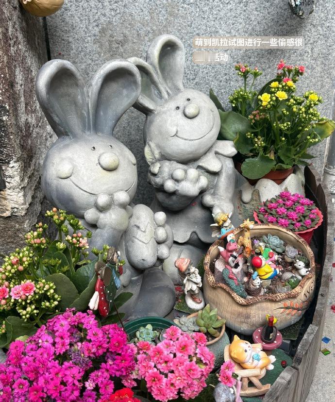 ️‍此刻的幸福感简直爆棚，整个人都沉浸在极致的闲适里，舒服得不想动！
️‍忍不住