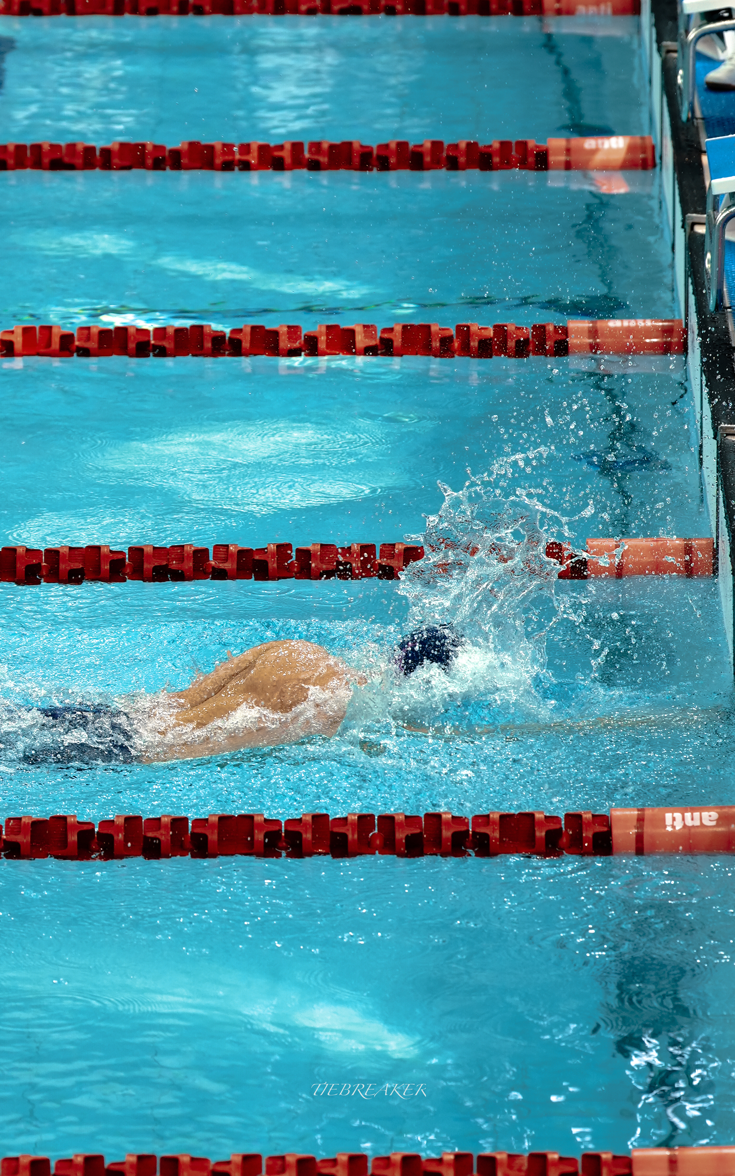 800自 PB ｜2026年中国游泳公开赛