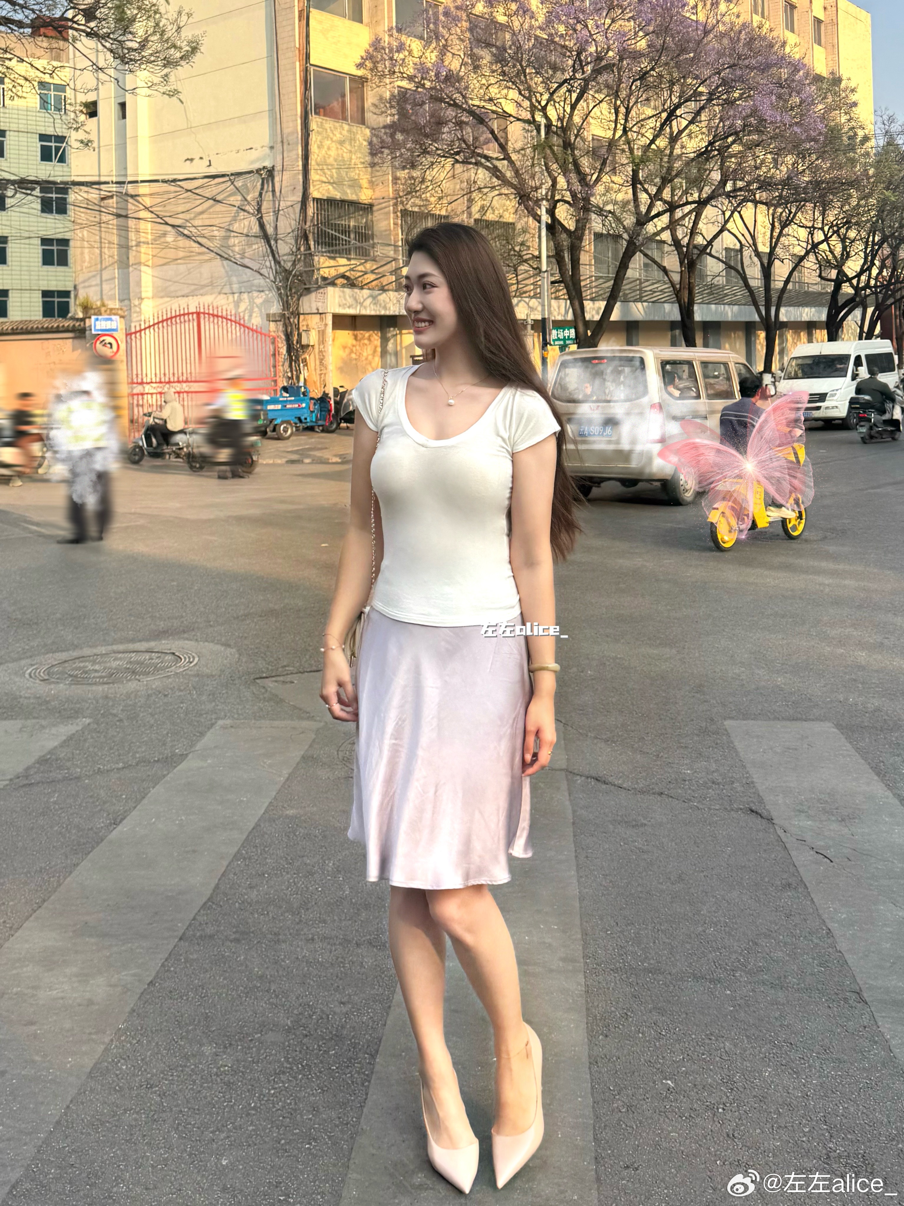 来看没有开的蓝花楹… 