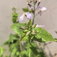 我的今日状态：🏝️旅行度假
我这里的天气：☀️晴天