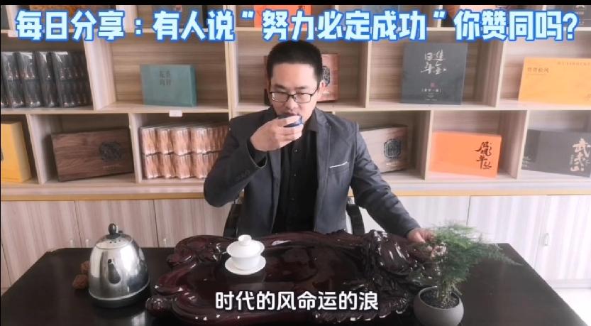 不赞同“努力必定成功”。成功是努力、机遇、方向、资源等多重因素的叠加，努力是必要