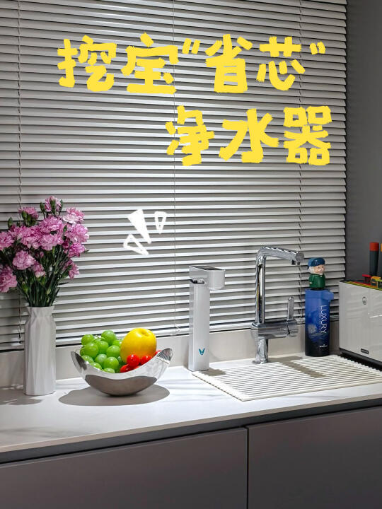 别再乱花冤枉钱❗️一篇教你挑高性价比净水器