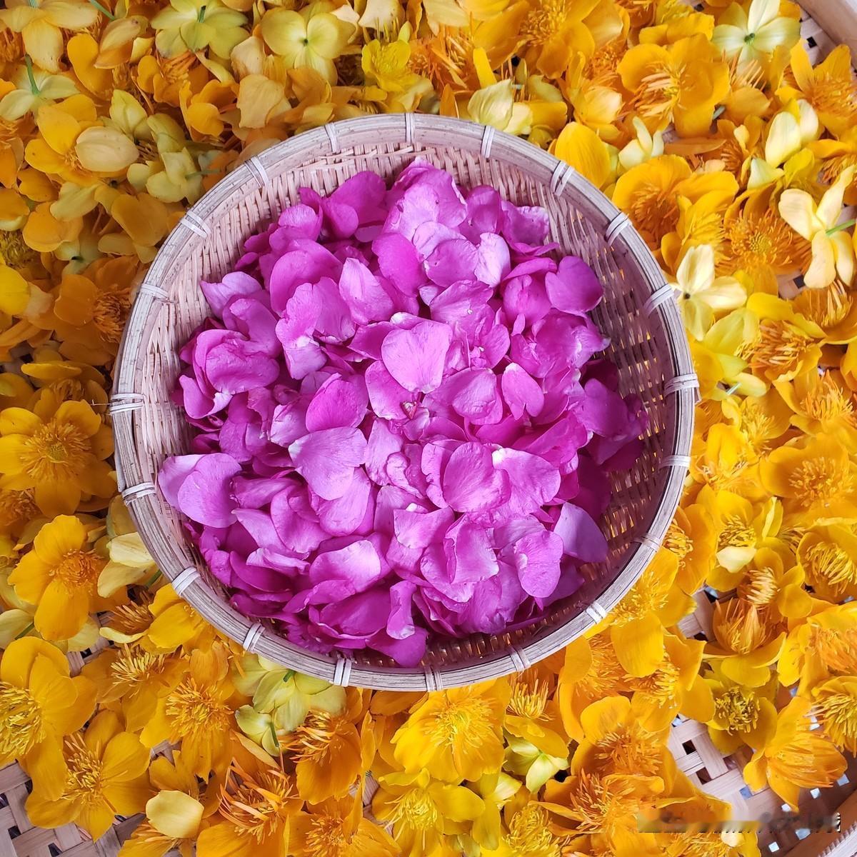 玫瑰与金莲花#探店打卡##美味，一人食##美食静物摄影圈子#