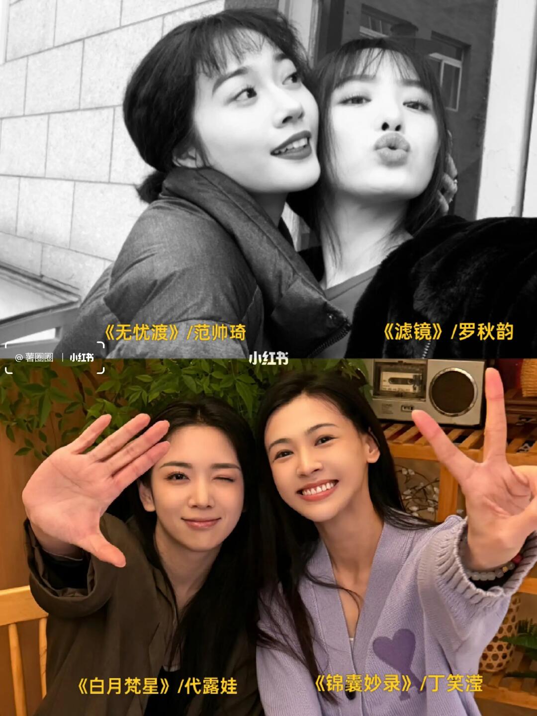 一个班四朵金花，今年一人一部剧上桌