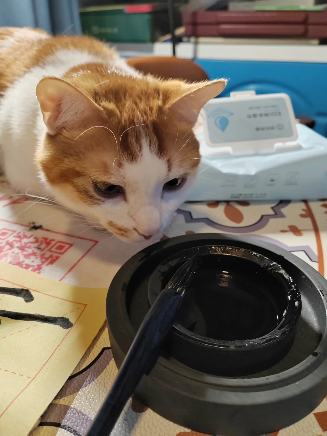 猫好人坏｜喝墨汁的猫