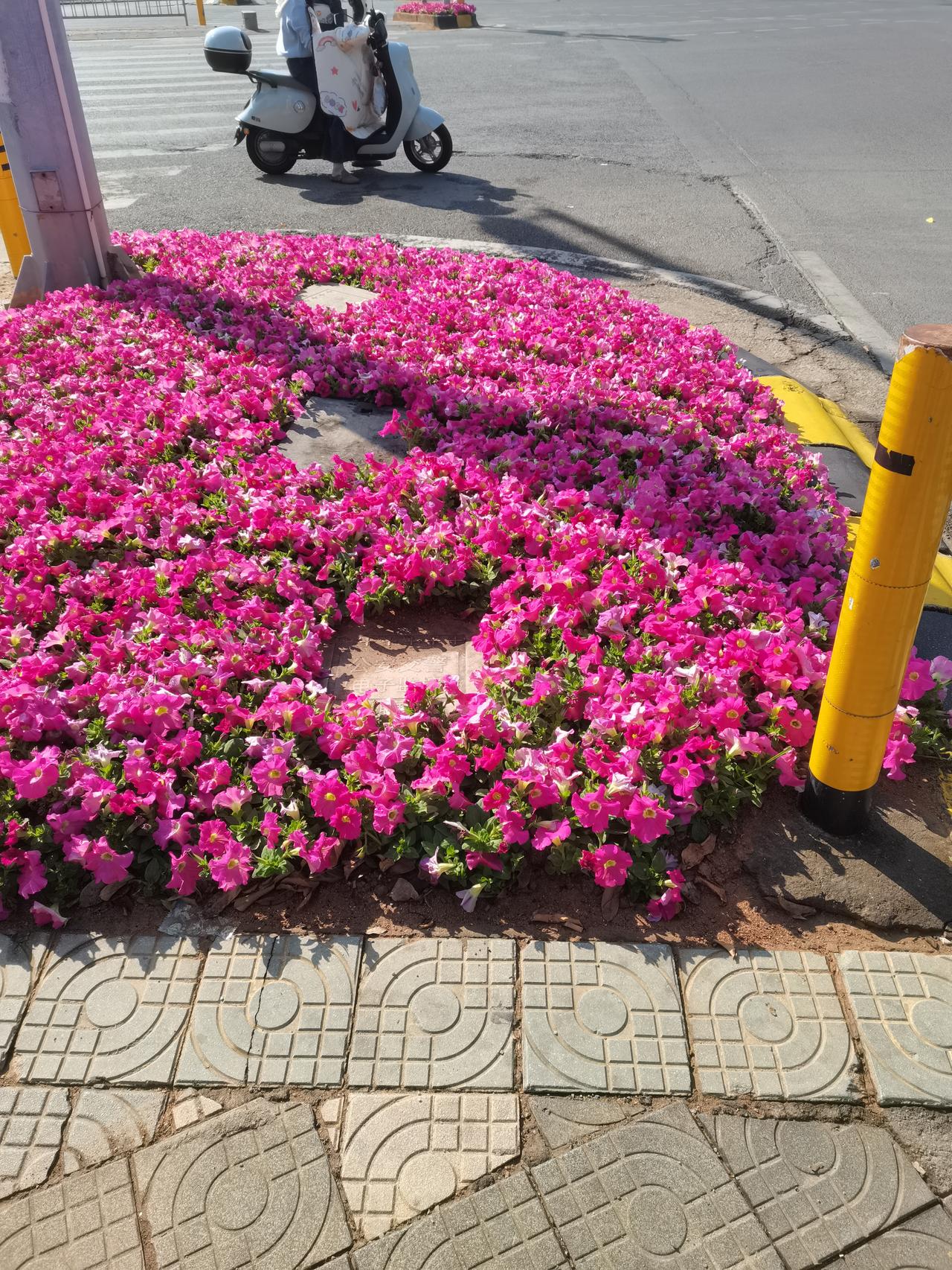 依法治国的道路还有很长的路要走。有一句话我们大家都耳熟能详，法律面前人人平等，所